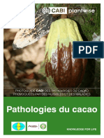 Pathologie Du Cacao PDF