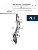 Reporte LAB PAE, Modulo 6, Nivel Espinal