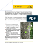 HV20 El Zompopo PDF