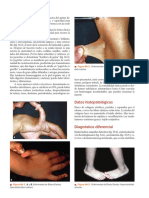 Dermatologia Arenas 7a Edicion PDF