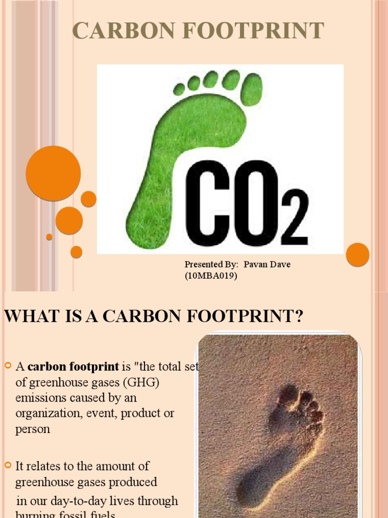 Understanding Carbon Footprint Basics | PDF | Home & Garden ...