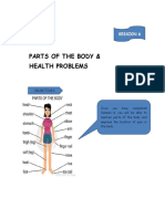 Parts of The Body & Health Problems: Session 6