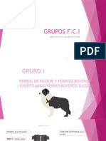 GRUPOS PERROS PASTOR Y COMPAÑÍA