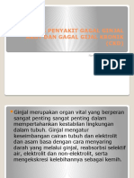 Kasus Penyakit Gagal Ginjal Kronik Dan Gagal Ginjal Akut