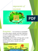 Components of Ecosystem.ppt