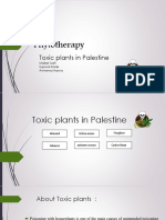 Toxic Plants...