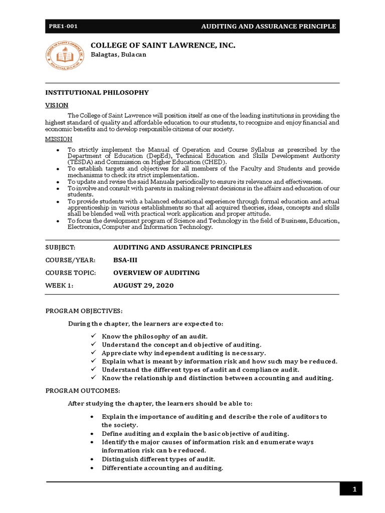 Overview of Auditing Principles | PDF | Financial Audit | Audit