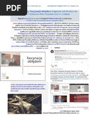 USA RFN Federacja Rosyjska Bialorus Chinska Republika Ludowa i Korea Polnocna maja to samo co Polska ale to niestety nazywa sie teraz COVID-19 Szanowna Pani Ambasador nie demokracja SOWA January 17 2021 PDO1 FO106 SSetKh Von SK