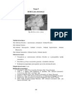 T.9-Subclasa Rosidae PDF