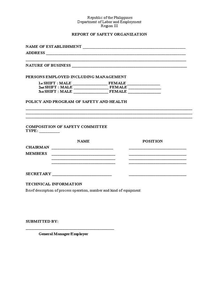 Guide To Composition of Safety Committee PDF Working Conditions