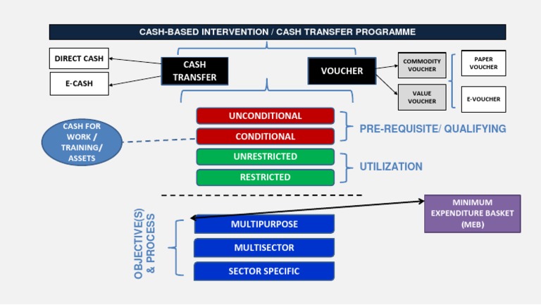 Types of Cash Transfer Programs | PDF