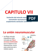 5.-CAPITULO 7 TRANSMISION NUEROMUSCULAR (1)