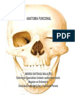 Anatomia Clase 1 PDF