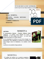 Exposicion MORFINA