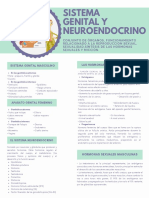 Morado Verde Pastel Dos Color Infografía Currículo Curriculum Vitae PDF