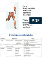 Aparatul Locomotor in Ontogeneza