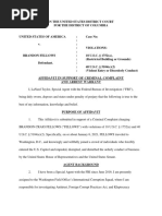 Brandon Fellows Complaint Affidavit