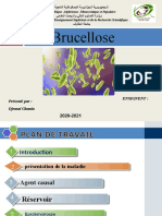 La Brucellose