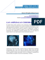amigdala cerebral.pdf