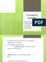 Circulatia v2.0.pptx