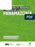 info_panamazonia_final