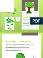 Las Plantas y Su Estructura