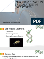 Genome Size & Organization, & Gene Regulation in Prokaryotes