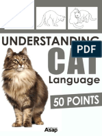 Understanding Cat Language - 50 Points - Aude Yvanes