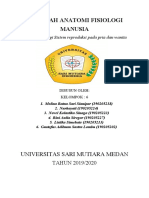 Makalah Anatomi Fisiologi Manusia: Universitas Sari Mutiara Medan