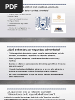 seguridad alimentaria enero2021