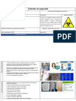 Formato Estandart de Seguridad