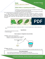 12 BICARBONATO DE SODIO PARA O CONTROLE DO OIDIO.pdf