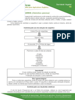 16 CONTROLE DA VAQUINHA Diabrotica speciosa.pdf