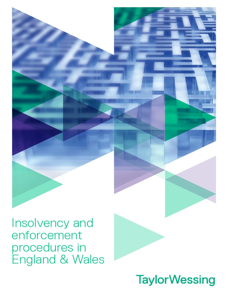 Insolvency and Enforcement Procedures in England & Wales PDF
