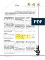 Isoxazolil Penicilinas PDF