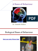 Biological Bases of Behaviour: Brain, Neurons, Neurotransmitters