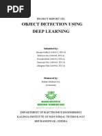 Object Detection Using Deep Learning