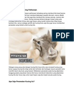 Perawatan Pada Kucing Peliharaan PDF