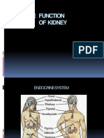 Endocrine Function of Kidney