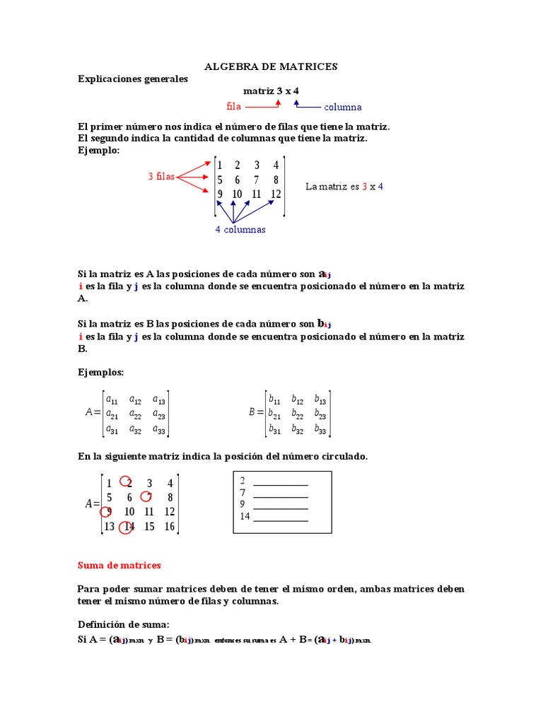 Algebra de Matrices | PDF | Business
