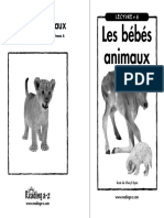 Raz La07 Babyanimals FR PDF