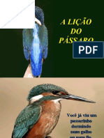 A_licao_do_passaro