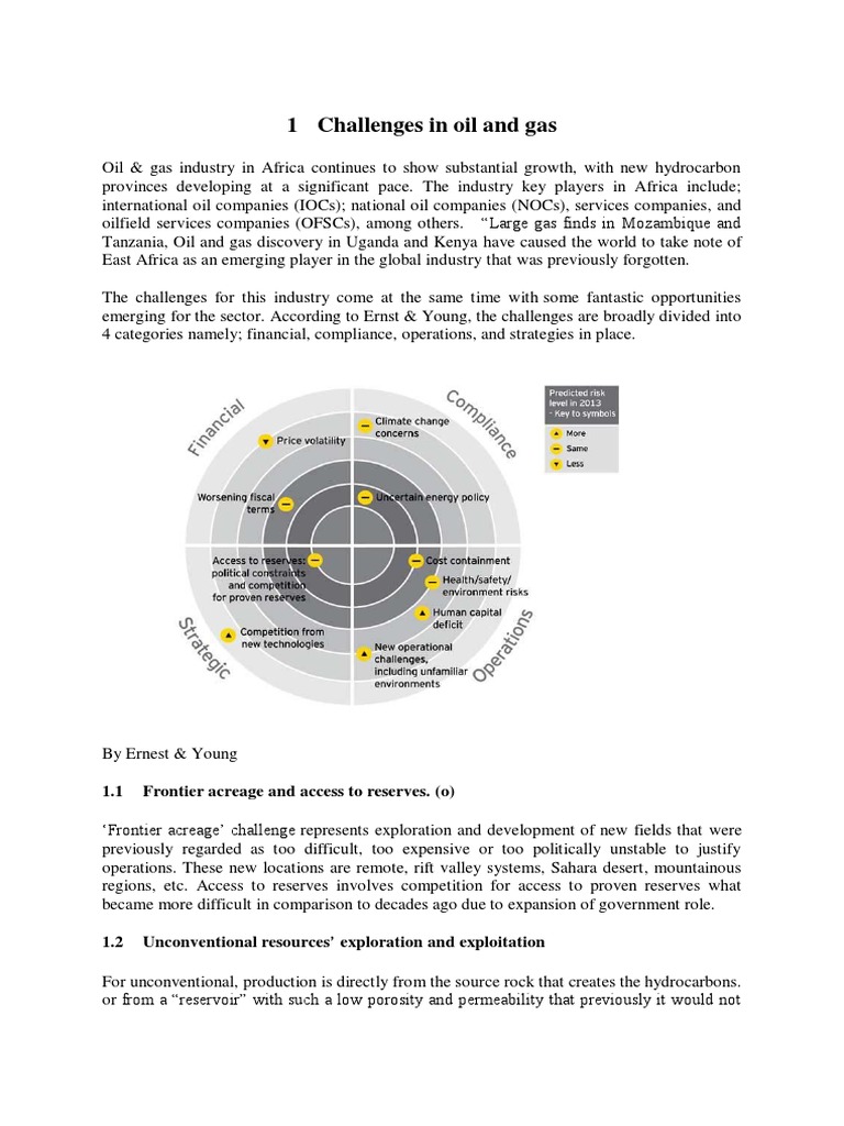 Challenges in Nigeria's Oil Sector | PDF | Corporate Social ...