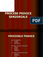 procesele_psihice_senzoriale (1)