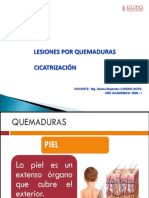 Clase 4 - Lesiones Por Quemaduras - Medicina Legal - Eupg - Unfv - 2020-I