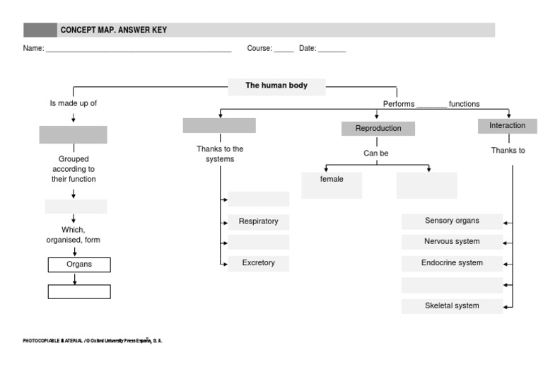 Human Body - Concept - Map | PDF