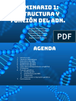 Grupo 2 - Seminario 1 PDF