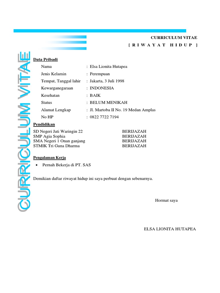 CV Elsa | PDF