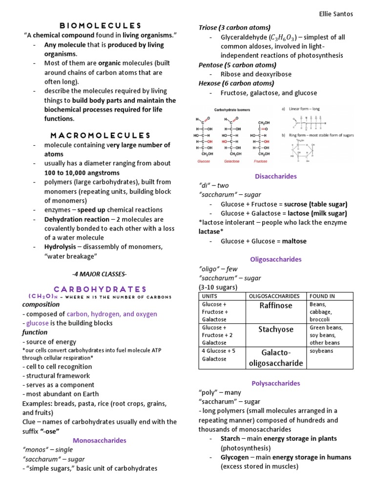 Biomolecules PDF | PDF | Fat | Nucleotides