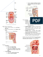 Oral Cavity Pharynx